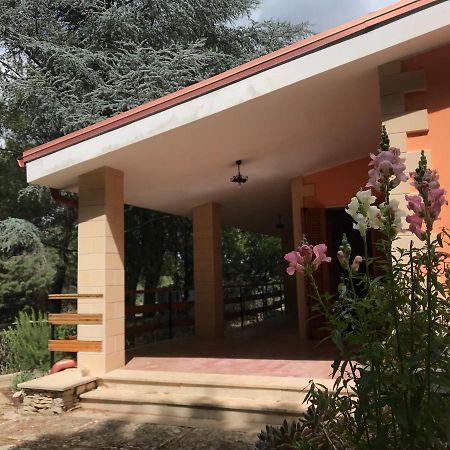 Nature, Memories And Garden Shower At Casa Del Castello 蒙特堡 外观 照片