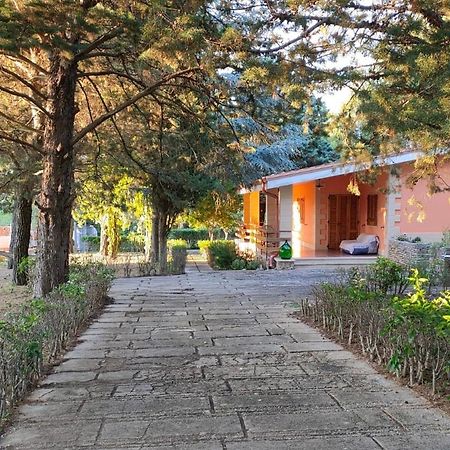 Nature, Memories And Garden Shower At Casa Del Castello 蒙特堡 外观 照片