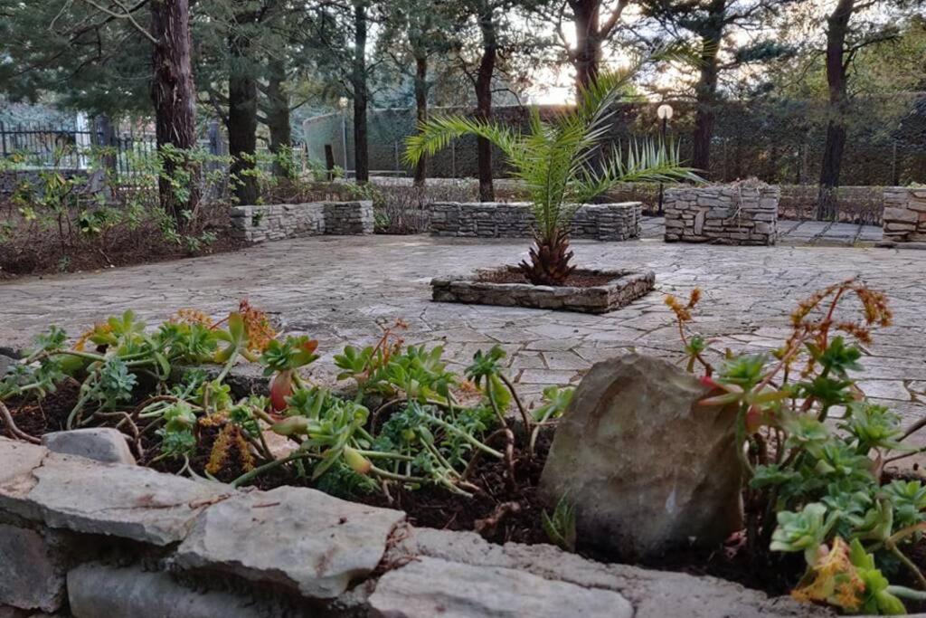 Nature, Memories And Garden Shower At Casa Del Castello 蒙特堡 外观 照片