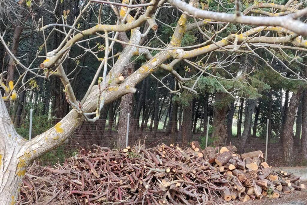 Nature, Memories And Garden Shower At Casa Del Castello 蒙特堡 外观 照片