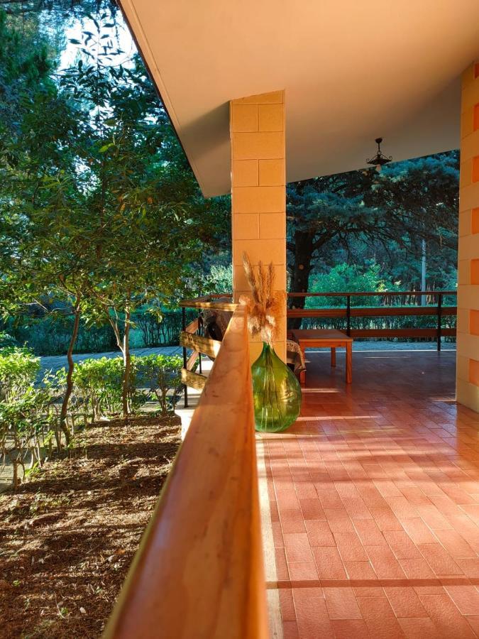 Nature, Memories And Garden Shower At Casa Del Castello 蒙特堡 外观 照片
